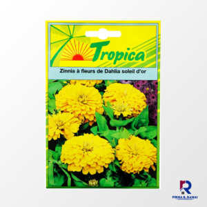 Zinnia Dahlia Flowered Gold Sun