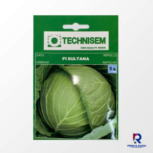 Cabbage F1 Sultana
