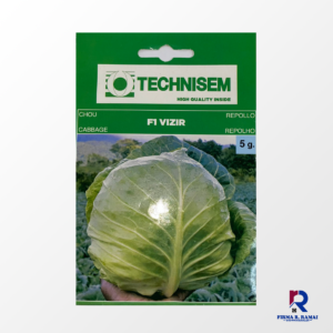 Cabbage F1 Vizir