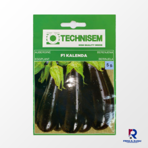 Eggplant