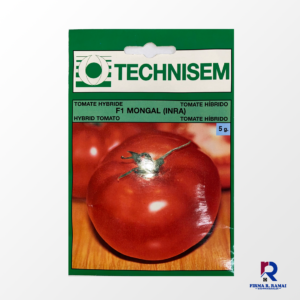 Hybrid Tomato